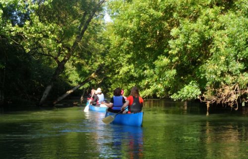 Balade en canoë sur la rivière Boutonne - activité en famille