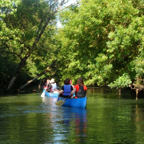 Balade en canoë sur la rivière Boutonne - activité en famille